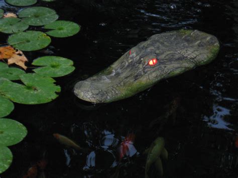 Tjb Inc Alligator Head Decoy Pond Float With Reflective Eyes For