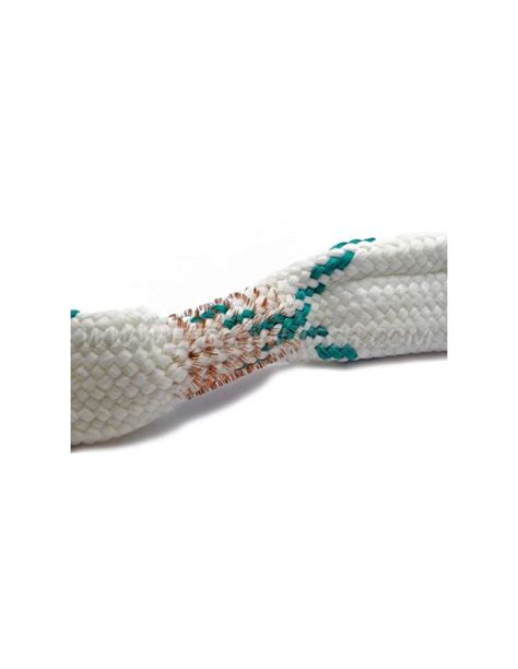 BORE SNAKE EEMANN TECH CORDON NETTOYAGE CAL 12