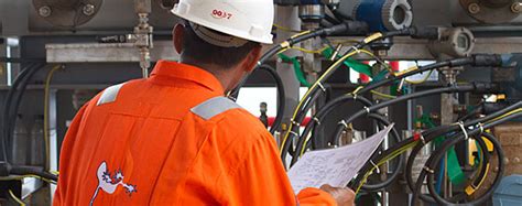 capabilities salamander energy