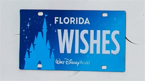 Florida Disney License Plate 2024 - Aggi Kizzee