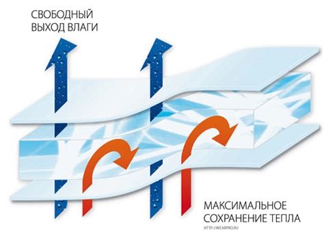 Современные утеплители: тинсулейт, био-пух и натуральный пух