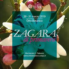 Dal 29 Al 31 Marzo La Mostra Mercato All Orto Botanico Di Palermo Zagara