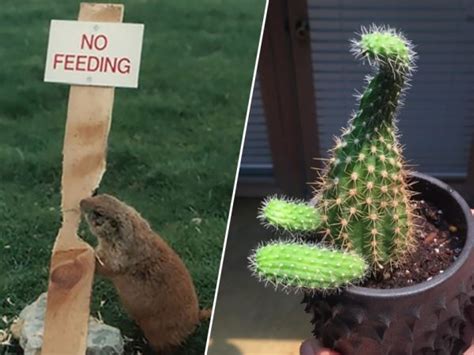 29 Photos Will Prove You That Nature Probably Has A Better Sense Of
