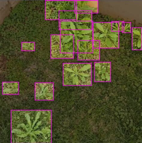 Top 6 Agriculture Datasets For Computer Vision