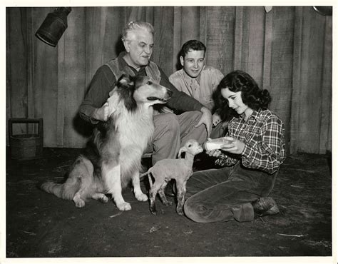 Original Lassie