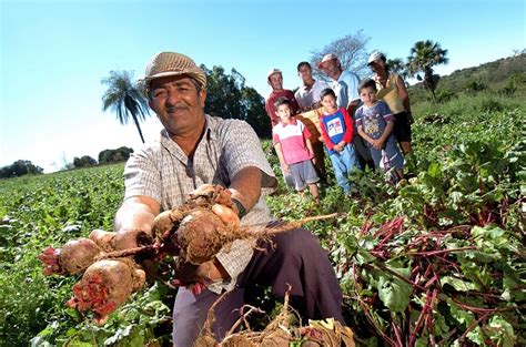 Agricultura Familiar Conex O Escola Sme