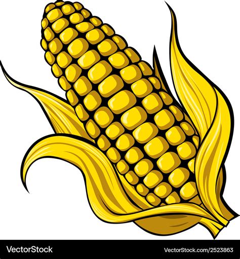 Corn Royalty Free Vector Image - VectorStock