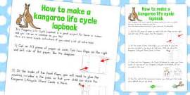 Kangaroo Life Cycle Lapbook Creation Pack Profesor Hizo