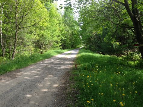 Free Images : landscape, tree, nature, forest, path, grass, outdoor ...