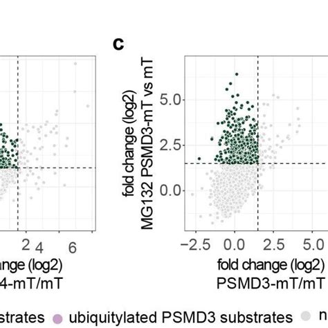 Tagging different proteasome subunits to identify proteasome ...