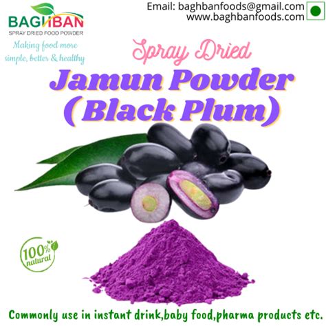 Jamun Powder Baghban Foods Packaging Size 20 Kg At Rs 500 Kg In