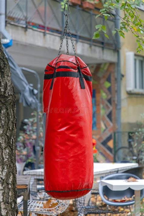Red Punching Bag Stock Image Image Of Sport Exterior 260888563