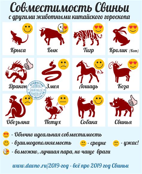 2019 год кого, какого животного? Год Свиньи! Какой цвет, в чем ...