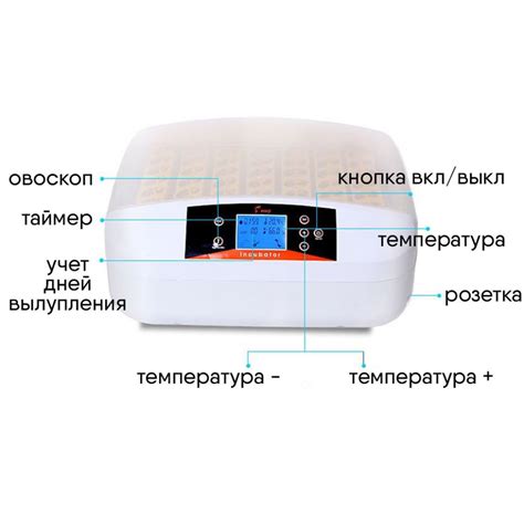 Инкубатор автоматический с овоскопом на 56 яиц кур/перепелов HHD купить ...