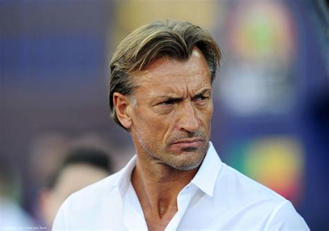 Qatar 2022 Hervé Renard Livre La Clé De La Victoire De Larabie