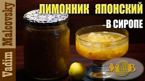 Консервация Лимонник японский в сиропе или варенье из лимонника ...