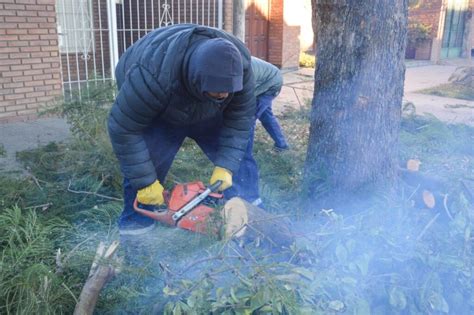 Ciudad M S Limpia Y Ordenada Servicios Municipales A Pleno Gobierno