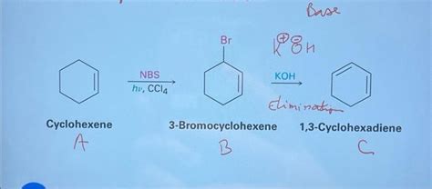 Solved How does the base KOH contribute to the formation of | Chegg.com