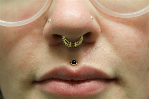 Septum Binks Body Piercing By Bink Tallahassee Fl