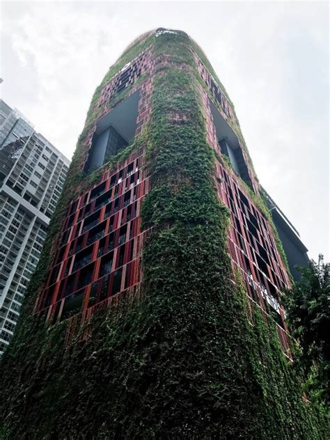 A Green Skyscraper Growing - archigardener