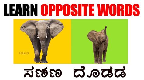 Learn Opposite Words Opposite Words In Kannada And English With Picture Opposite Kannada