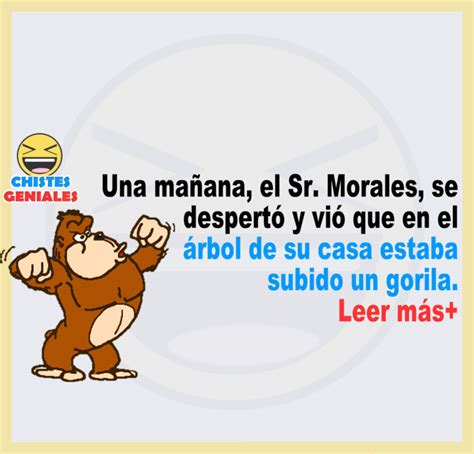 Chistes Una mañana el Sr Morales se despertó y vió que en el árbol