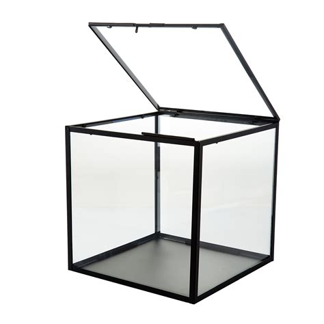 Lindrande Decoration Box Clear Glass Black Ikea Decor Ikea Glass Display Box