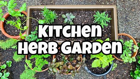 Diy Herb Garden For Beginners Diy Kitchen Herb Garden Youtube