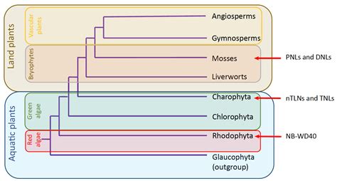 科学网—trends In Plant Science：陆地植物nlr基因起源 补2018727 郝兆东的博文