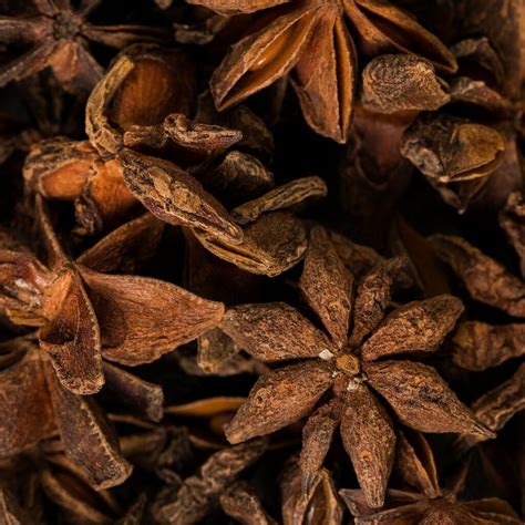 Organic Whole Star Anise Top Quality Fresh Pods