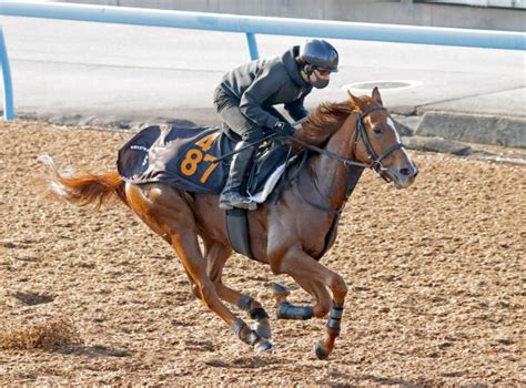 【京王杯2歳s】2連勝中のコラソンビートはラスト11秒8 加藤士調教師「リラックスして走れていた」 競馬ニュース Netkeiba