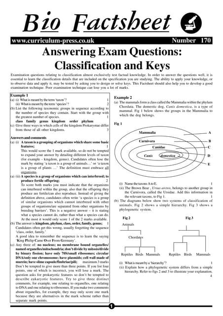 Classification And Keys Pdf