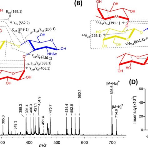 Fragmentation Pattern And The Tof Mass Spectrum Of Lewis Y As A Model