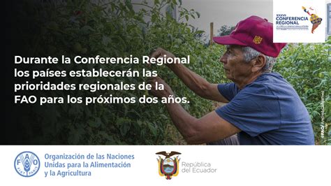 FAO Ecuador on Twitter La ConferenciaFAOAméricas debatirá 3