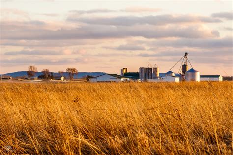 The Ohio Nature Blog The Pickaway Plains