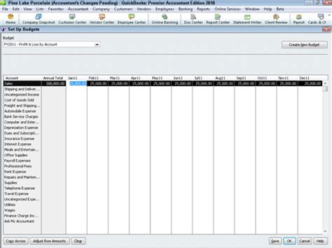 How To Edit A Quickbooks 2010 Budget Dummies