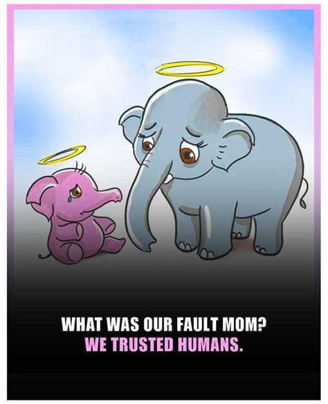 A Tribute To The Elephant That Died After Eating A Pineapple Stuffed