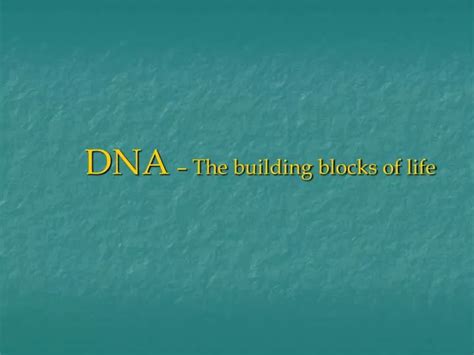 Ppt Dna The Building Blocks Of Life Powerpoint Presentation Free