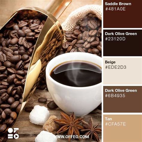 Earthy Shades Of Brown For Inspiration Offeo Brown Color Palette