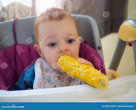 Baby Girl Eating Corn Stock Photo Image Of Eating Child 245619544