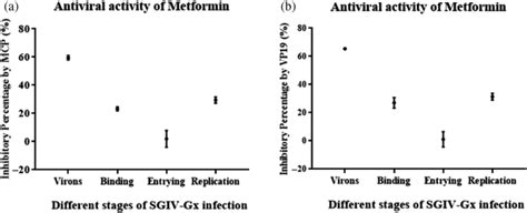 Inhibitory Effects Of Metformin At Different Stages Of Sgiv Infection