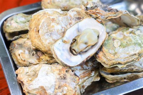 鳥羽浦村の牡蠣のフリー写真素材「焼き牡蠣が盛られた光景（1個だけ開いている）」 三重フォトギャラリー