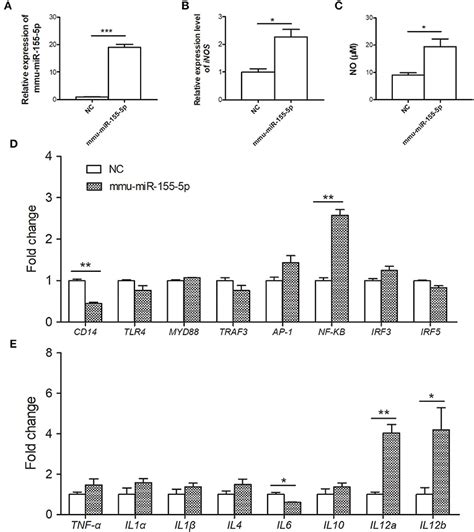 Frontiers Profiling Of Mirnas In Mouse Peritoneal Macrophages