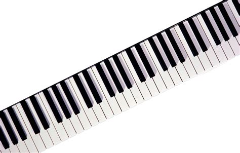 Piano Musical keyboard - Piano keys png download - 1008*643 - Free ...