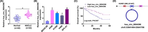 Expression Of Hsa Circ 0004396 Was Upregulated In NSCLC A And B