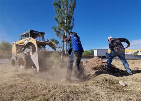 Plantan Mil Rboles En Lo Que Va Del A O Canal Chihuahua