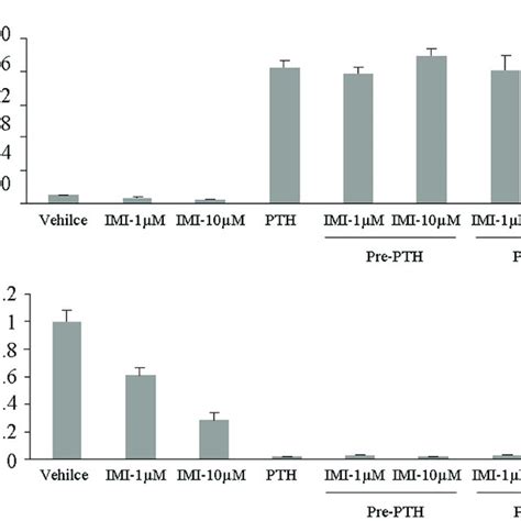 Characterization Of Osteoblast Derived Microvesicles MVs A The