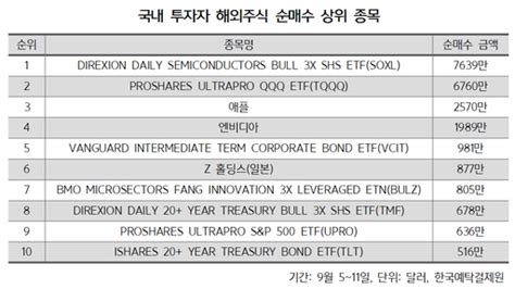 해외주식 Click 서학개미 3배 레버리지 Etf 폭풍 순매수