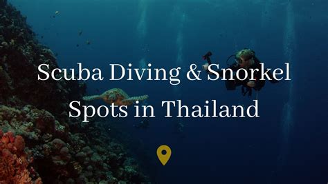 Best Scuba Snorkeling Spots In Thailand 2025 10 Best Place