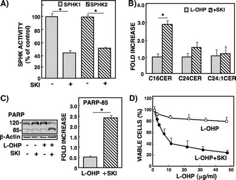 Effect Of Sphk Inhibitor On L Ohp Induced Ceramide Formation Parp